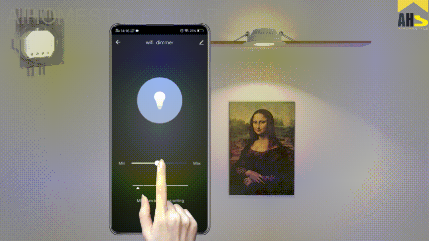Smart Dimmer Module