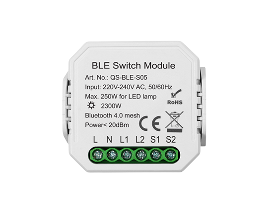 1 Gang Bluetooth Switch Module