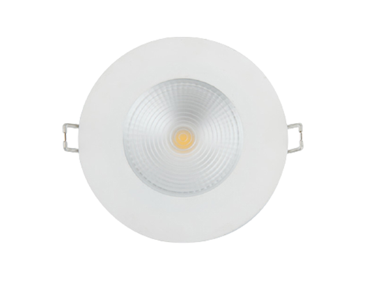 Smart LED Down Light